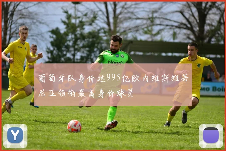 葡萄牙队身价达995亿欧内维斯维蒂尼亚领衔最高身价球员
